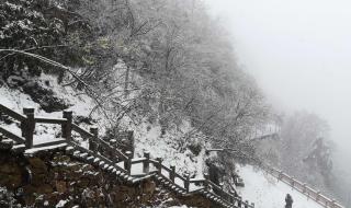 三月飞雪古诗有多少首 三月飞雪是什么兆头