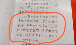 这样想象很有趣作文50字 想象的作文