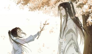 《二哈和他的白猫师尊》中楚晚宁是不是楚洵 二哈和他的白猫师尊落霞